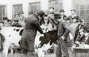 WisDairyNews-1