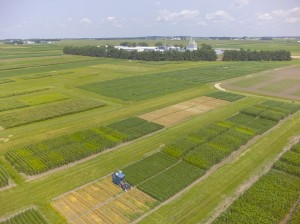 Drone photo of rotation trials, Arlington ARS