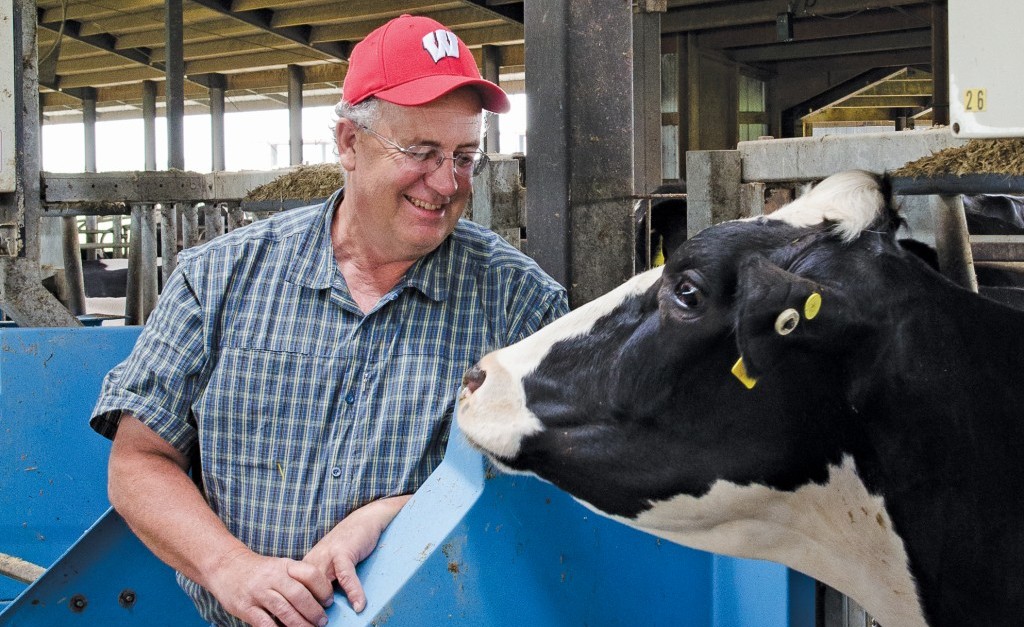 David Combs with a dairy cow.