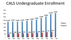 enrollment_chart