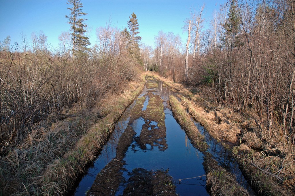 15208761614_10a5c5a51a_k