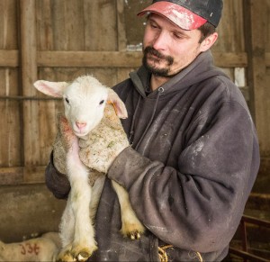 15963747843_d9ed9ff390_k