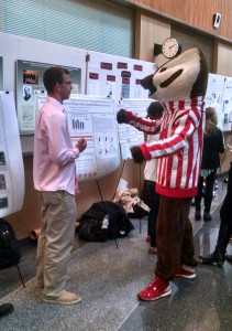 CALS undergrad res symp - Bucky poster