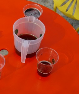 pitcher and glasses - Terrace table