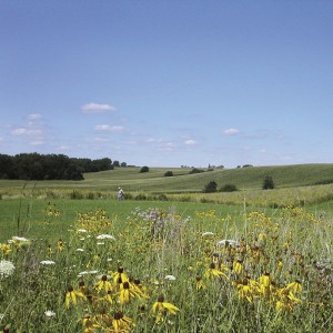 12748582763_e3eb2145cb_h