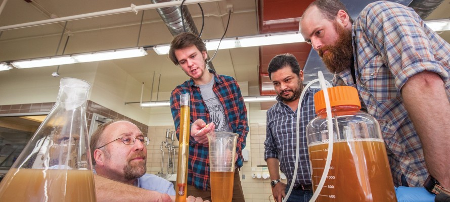 Brewing-Beer-6005-890x400