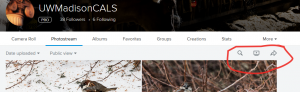 search_button_circled