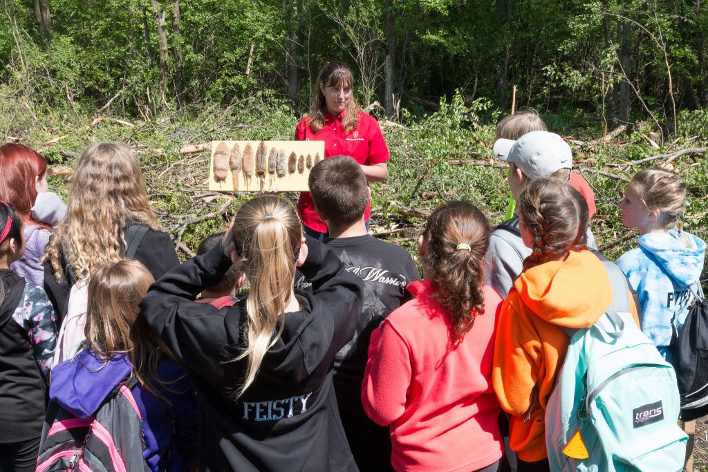 Jamie Nack, a senior outreach specialist in the UW-Madison Department of Forest and Wildlife Ecology, taught children about wildlife biology, including sharing this display of Wisconsin rodents.
