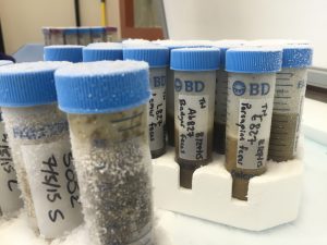 Tubes of feces from badgers, porcupines, lemurs and more sit on top of a lab freezer. Photo: Kelly Tyrrell, UW-Madison.
