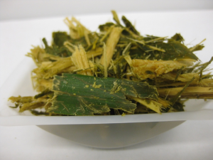 A fecal sample from a giant panda, showing a mix of bamboo stalk and leaves. Pandas eat up to a third of their body weight in bamboo every day. Photo: Candace Williams.