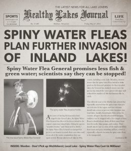 Spiny water flea newspaper final