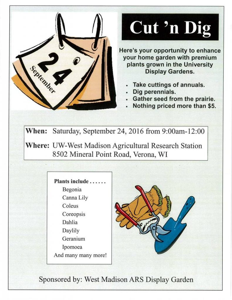 Cut n Dig event