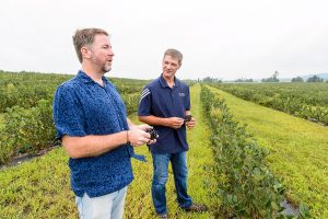 These aronia bushes are too young to produce a useful crop, as Krueger (left) and Nemitz discussing how appearance, taste and nutritional value help aronia break into the market. Photo: Bryce Richter.