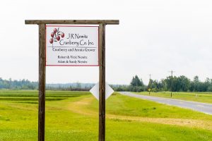 The ancestors of both Adam and Sandy Nemitz have been growing cranberries in the Tomah area for generations. Photo: Bryce Richter.