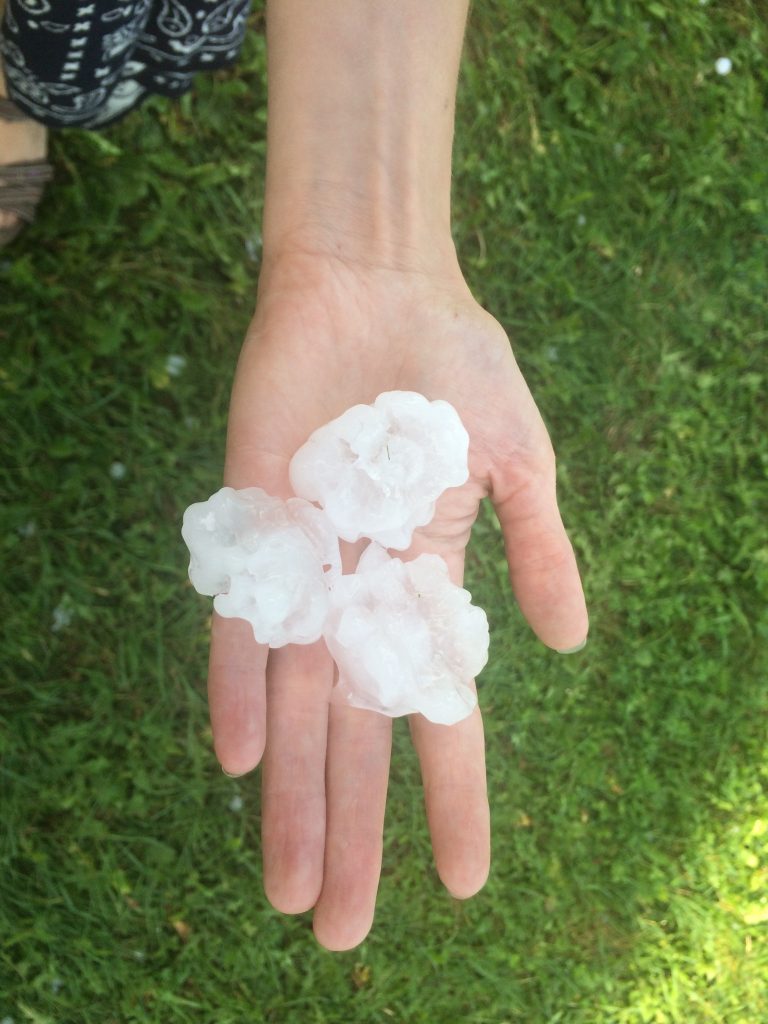 West Madison damage hail