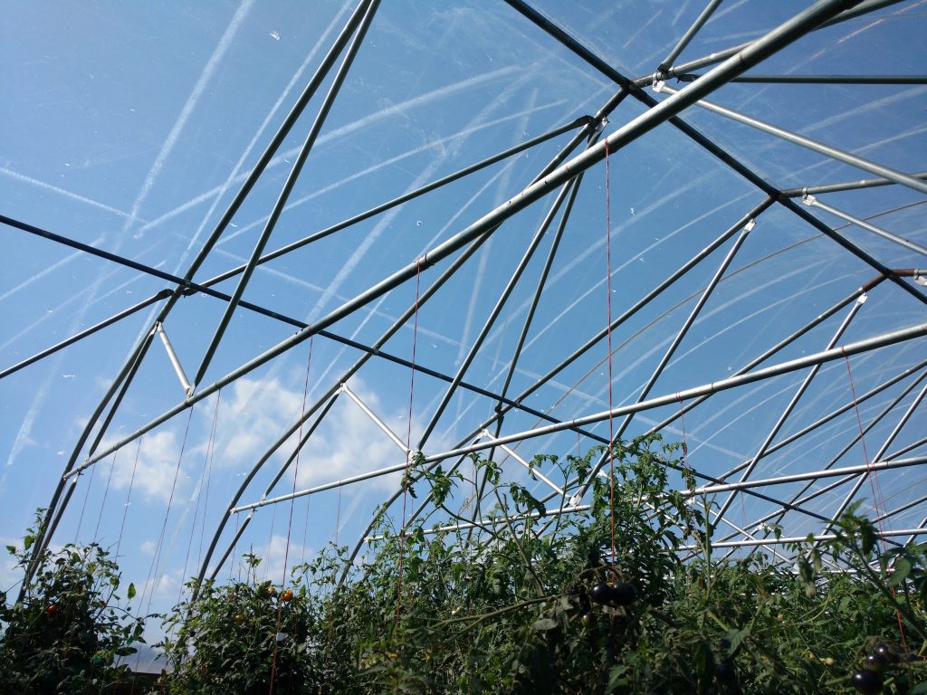 West Madison damage hoop house