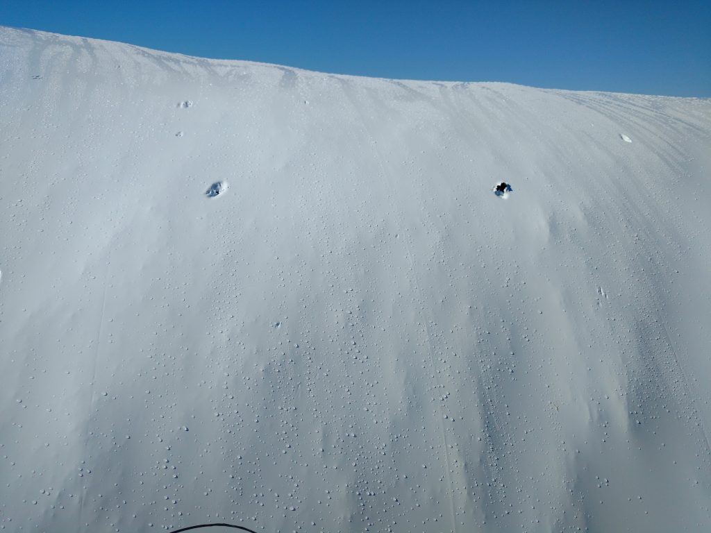 West Madison damage silage
