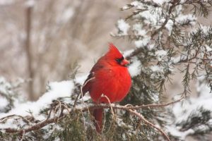 6952042319_1d9cfb6c80_z