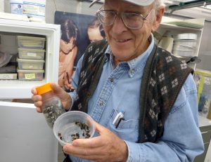 Paul Williams, founder of the Fast Plant program at UW–Madison, holds bumblebees that are used to pollenate the rapid-cycling Brassica plants. Photo by David Tennenbaum.