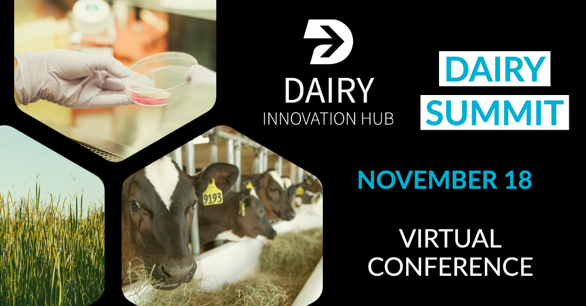 Dairy Innovation Hub ‘Dairy Summit’ this Wednesday eCALS