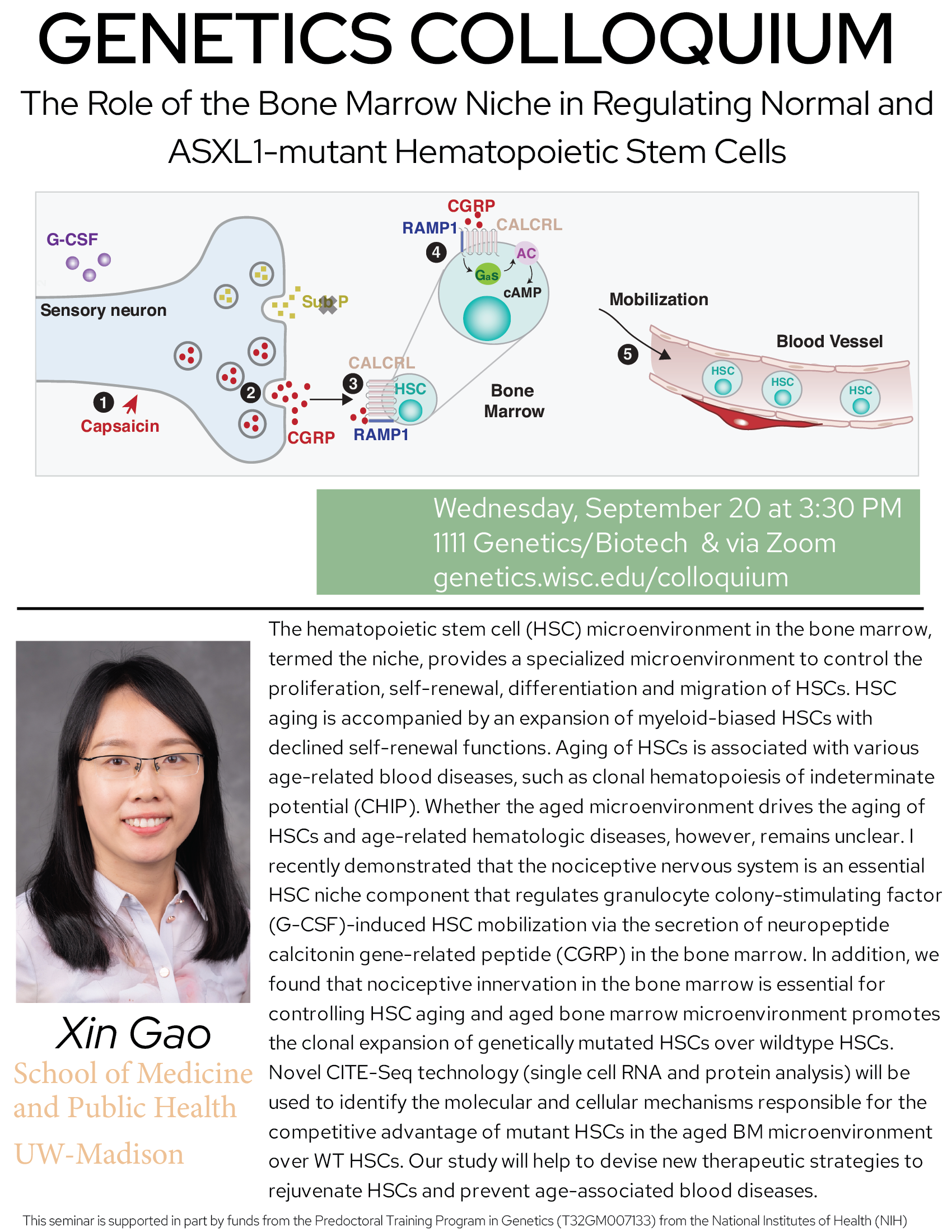 Genetics Colloquium: Xin Gao on the role of the bone marrow niche in ...