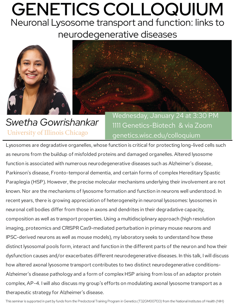 Genetics colloquium: Swetha Gowrishankar on neuronal lysosomes and ...