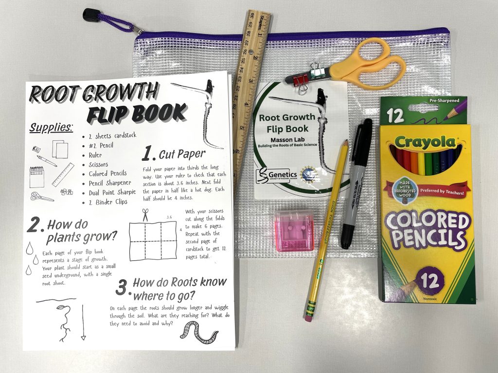 Zippered pouch on table underneath a number of items: paper sheet, ruler, scissors, pencil, marker and box of colored pencils