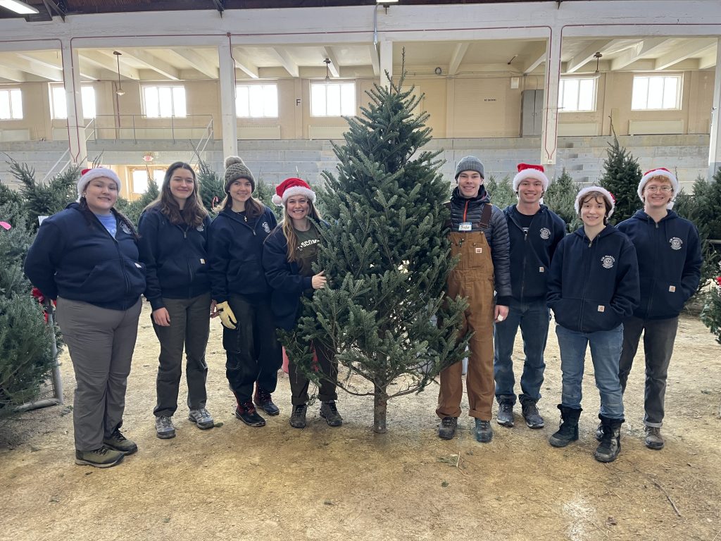 Eight college students, some in Santa hats, stand next to a Christmas tree in a large stock pavilion with other tress in the background.