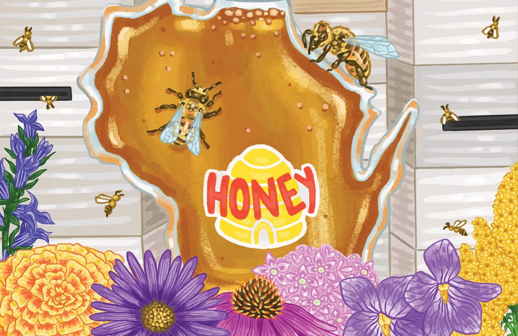 Design that shows the shape of Wisconsin in honey, with colorful flowers at the bottom.