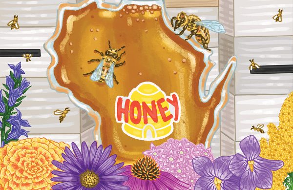 Design that shows the shape of Wisconsin in honey, with colorful flowers at the bottom.