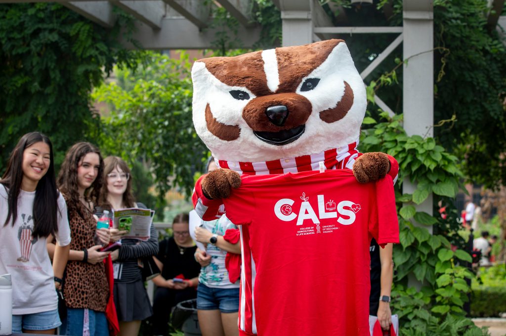 Bucky Badger holds up a CALS t-shirt